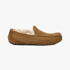 Ugg Ascot Men Slippers Brown (1672IPBAT)